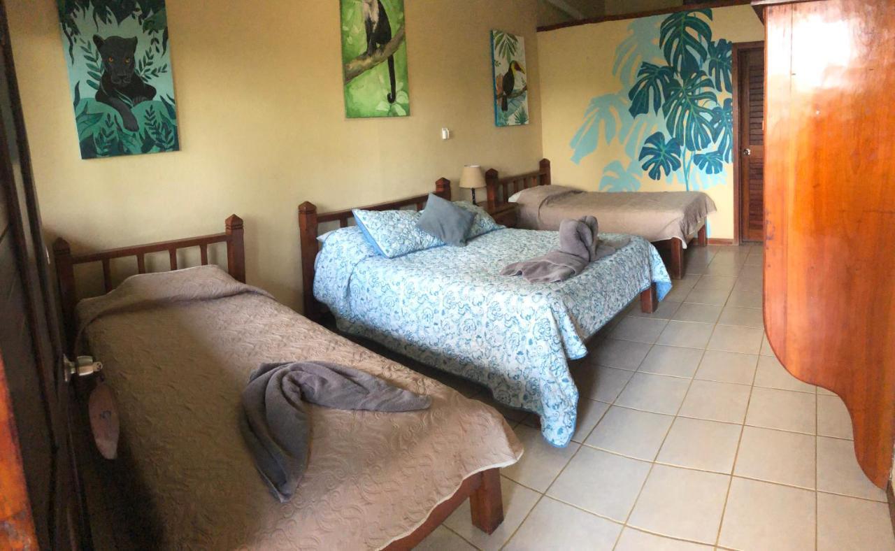 Hotel Jinetes De Osa Drake Bay ภายนอก รูปภาพ