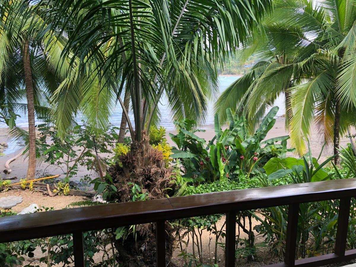 Hotel Jinetes De Osa Drake Bay ภายนอก รูปภาพ