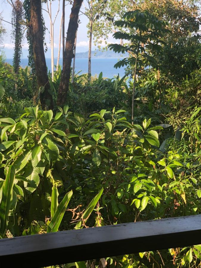 Hotel Jinetes De Osa Drake Bay ภายนอก รูปภาพ