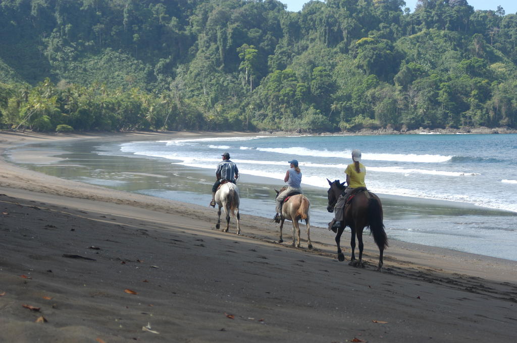 Hotel Jinetes De Osa Drake Bay ภายนอก รูปภาพ